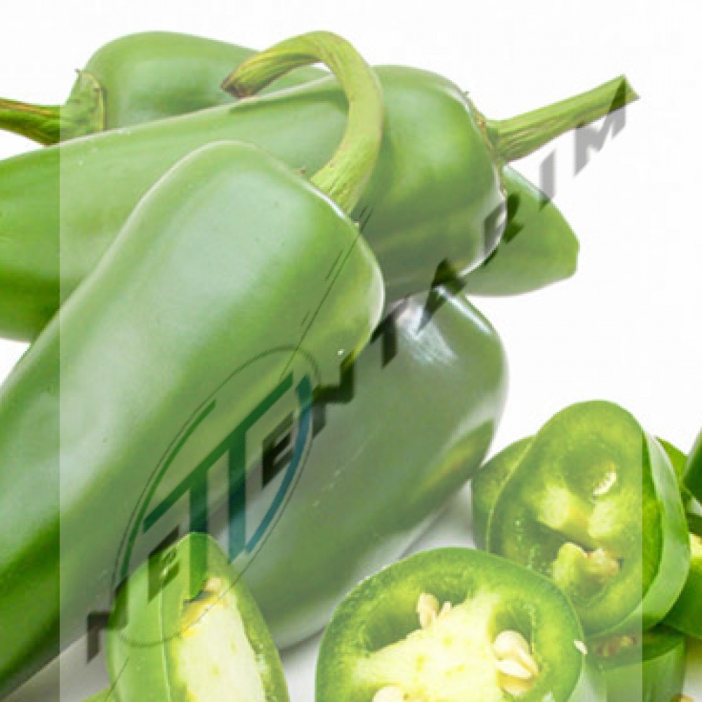 A-Z 26 F1 JALAPENO BİBER FİDESİ