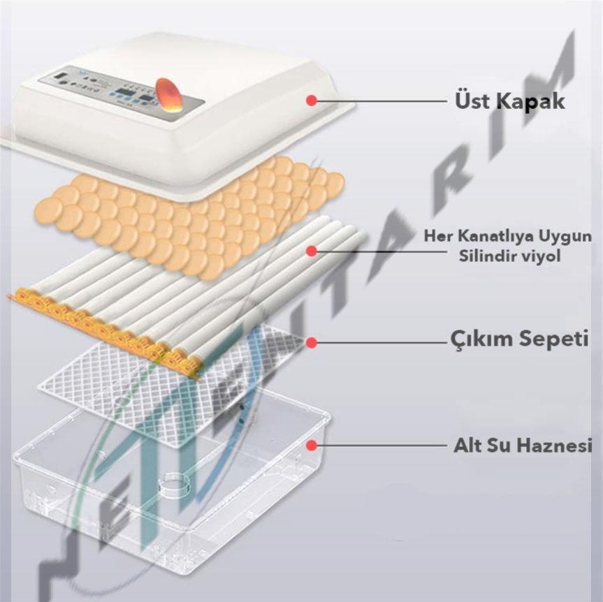 KULUÇKA MAKİNESI (60’LIK)